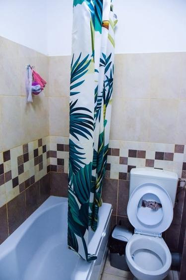 2 camere Metalurgiei bloc finalizat si locuit - 15