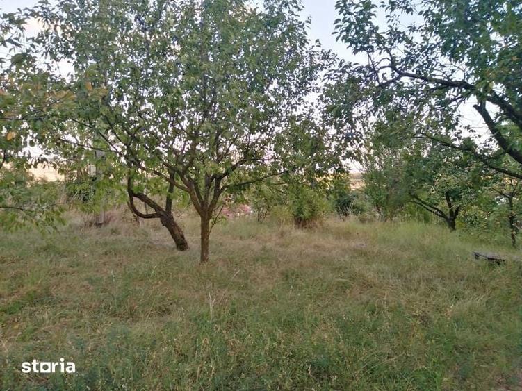 Teren de 1600 mp, în Tureni