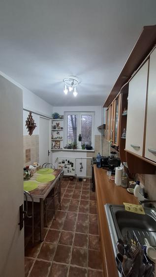 Piata Minis - Barajul Rovinari - 25