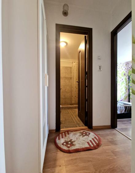 Pantelimon - Morarilor - apartament 2 camere ,modern , mobilat utilat - 12