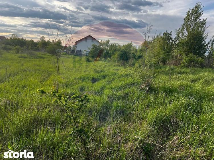 De vanzare | Teren intravilan 525mp in Teghes, comuna Domnesti, Ilfov - 7