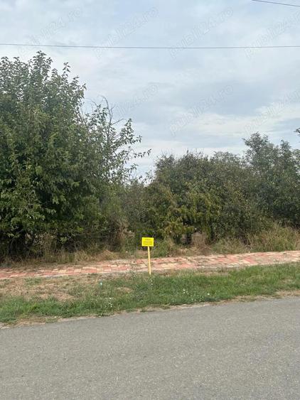 Proprietar vand teren 1439 mp pe strada DEJ, oras Sanicolau Mare - 3