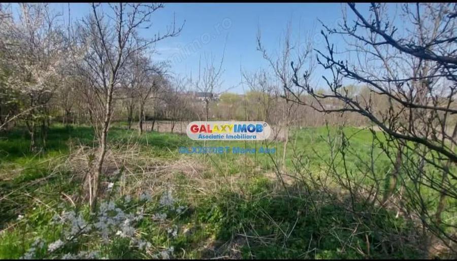 Casa batranesca cu teren 1074 m.p., Stancesti! - 4