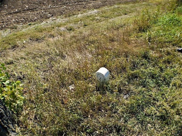 Teren iesire din Nicolae Balcescu, la 200ml de E85 Bacau - 11