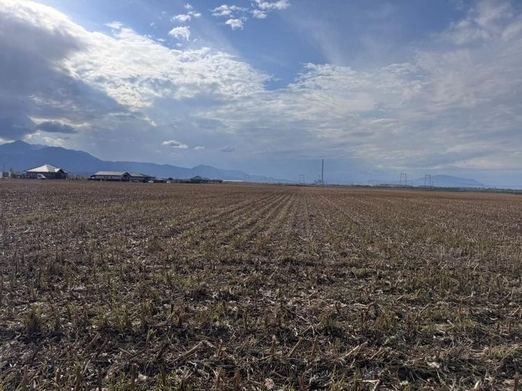 Teren dezvoltare rezidentiala Tarlungeni - zona Izvor - 9