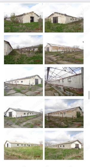 Inchiriez hale 7000 mp si teren intravilan 70000 mp - 3