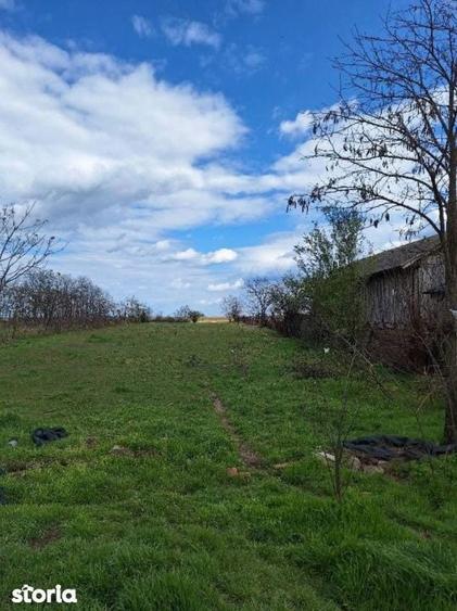 Casa batraneasca, 2504 mp teren, Secui Dolj - 4