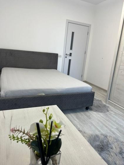 Apartament cu 2 camere decomandat în Roșu