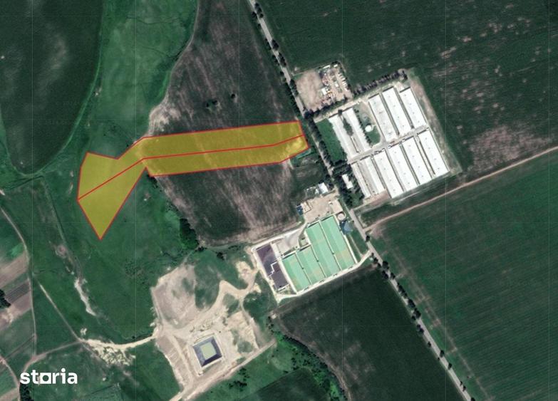 Teren intravilan arabil 40.000 m2, Targu Frumos - Iasi - 1