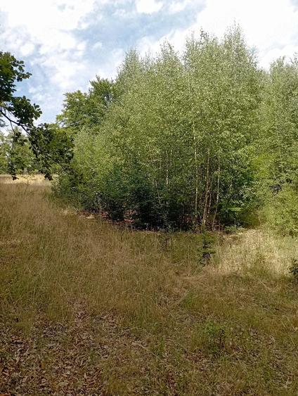 Teren de 3500 mp, în Valea Babei