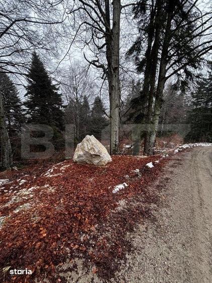 Teren de 4000 mp, în Sinaia