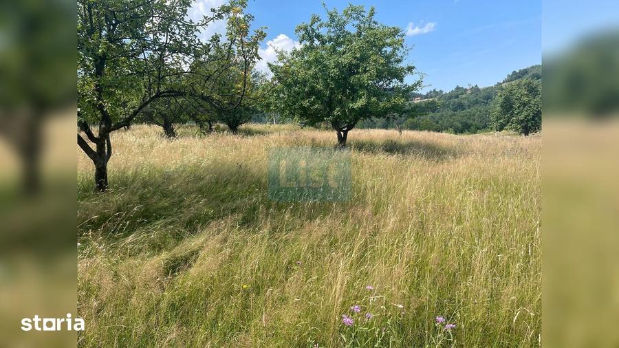 Teren cu poten?ial turistic, cadru natural rar, 20.000 mp Sacuieu - 3