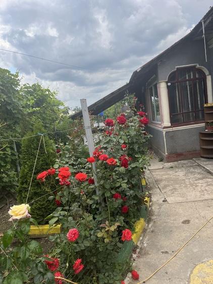 Casă cu 4 camere în Comana