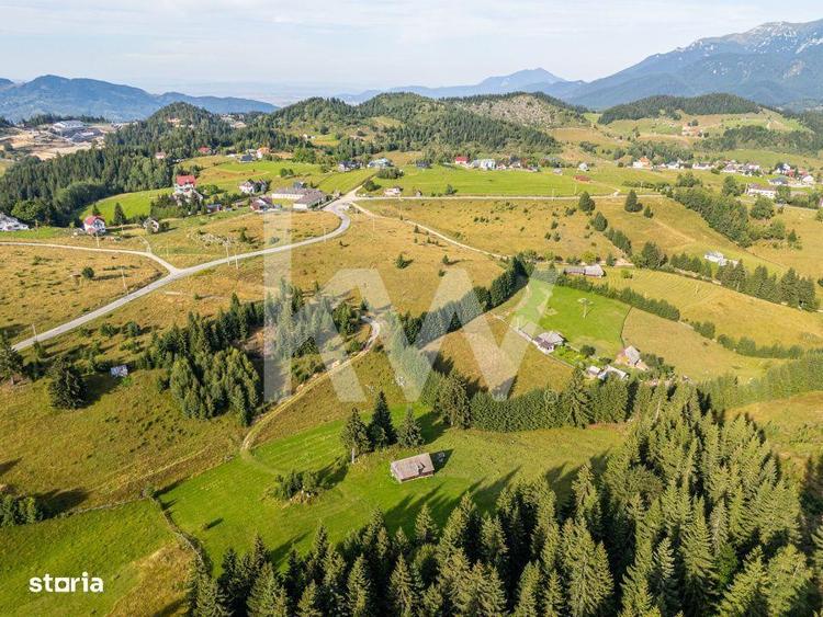Teren de 18044 mp, în Dâmbovicioara