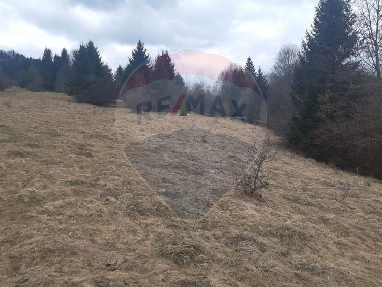 Teren agricol extravilan de 14250 mp, în Nord-Est