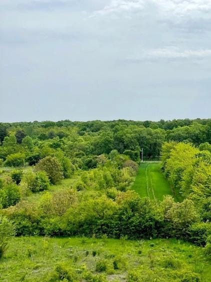 Snagov / Teren 5000 mp+Cladire 4200 Mp/ Investitie Comerciala sau Rezidentiala - 11