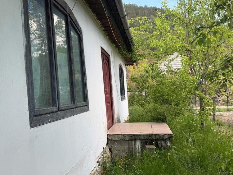 casa de vanzare poiana largului,comuna poiana teiului,judetul neamt,romania - 8