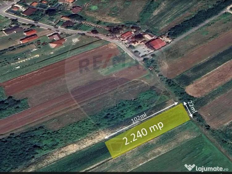 1.500 eur/ar - TEREN INTRAVILAN in Lapusel - 4