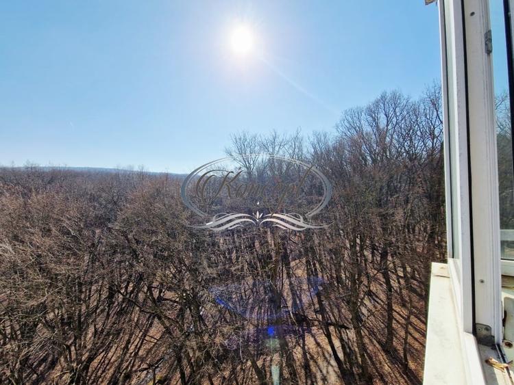 Apartament cu potential, orientare sud-est, 2 balcoane, zona Parang - 19