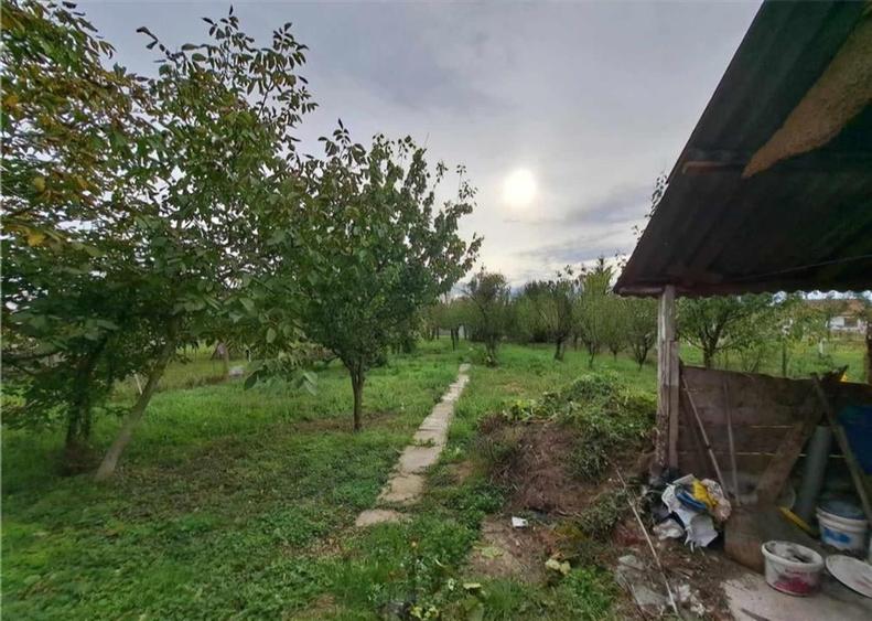 RECO Casa Salonta Fuveskert - 12