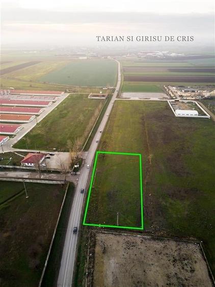 RECO Teren intravilan pentru servicii 1500 mp zona industriala Santandrei - 19