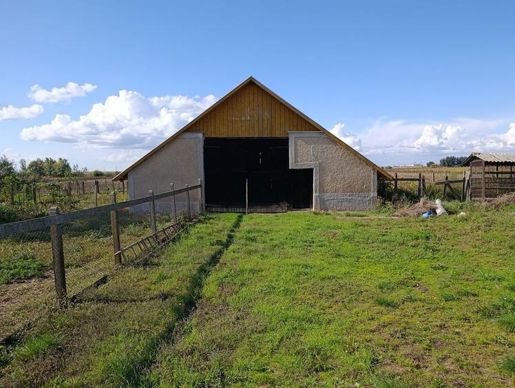 Casa de vanzare in comuna Petresti - 4