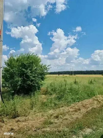 Loturi de Teren in Vadul Ani, Ilfov A2 - 4