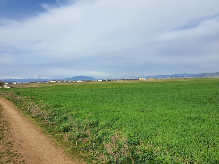 Teren agricol extravilan de 7400 mp, în Tărlungeni