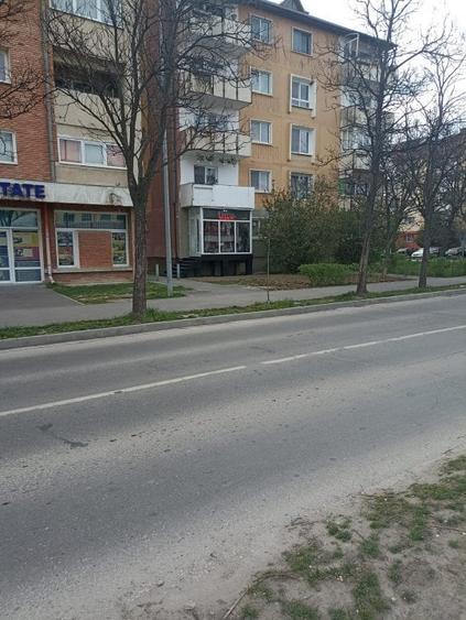 Spatiu comercial de vanzare - 3