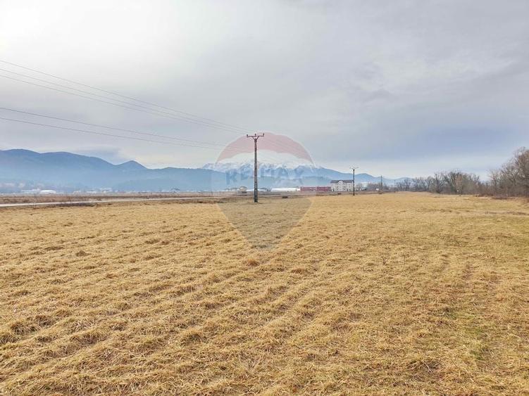 Teren 11600 mp, front la DN73B, Cristian - 6