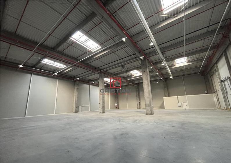 Depozit/hala/spatiu industrial Theodor Pallady - A2 - 4