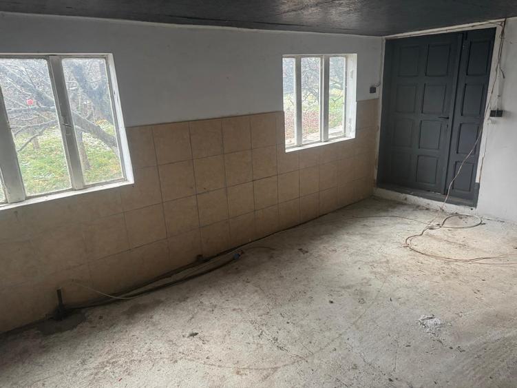 Tomesti - Osoi, vila cu spatiu comercial la parter , 2400mp teren cu iaz si pomi - 13