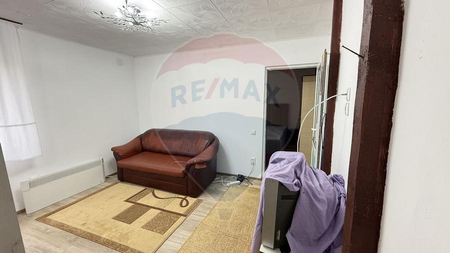 Casa / Vila cu 3 camere de inchiriat in zona Giurgiului - 13