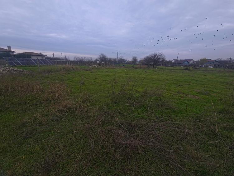 Teren intravilan 509 mp Techirghiol - 4