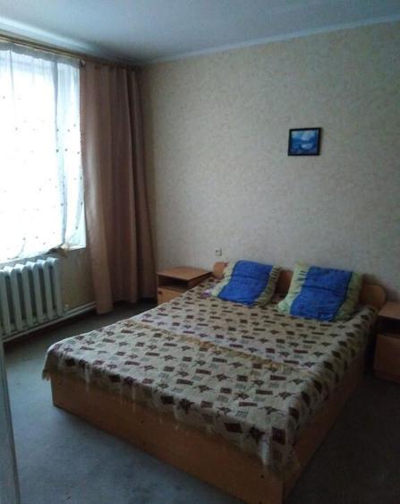 Apartament cu 2 camere de inchiriat in zona Nicolae Grigorescu - 10