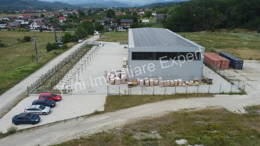 Hala de inchiriat in Curtea de Arge?. - 15