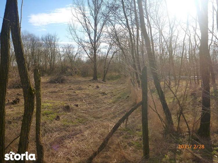 Vand teren in Nagygec (Csengersima) 10 km de Satu Mare - 2