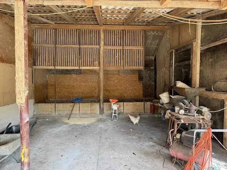 Catun Ferma autorizata Tip A pentru cresterea porcilor - IMOBIHOR - 14