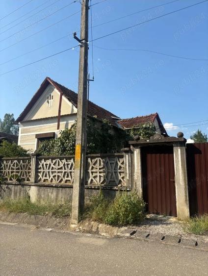 Casa cu teren generos 3000 mp- Grosi, Bihor - 2