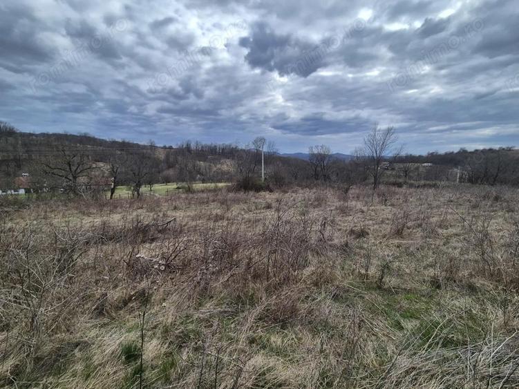 Vand teren Intrare spre Iabalcea - 1