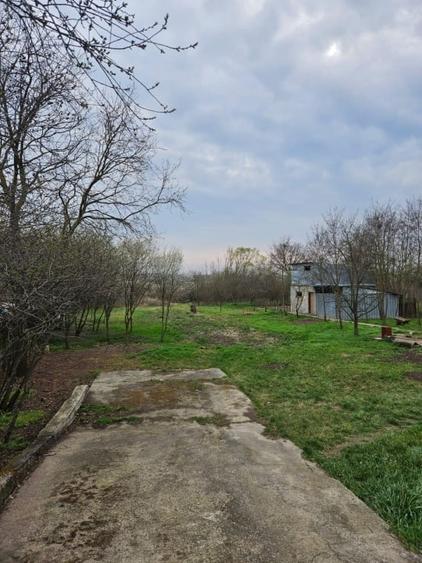 Casa de vacanta Bucsani, Obedeni - 8