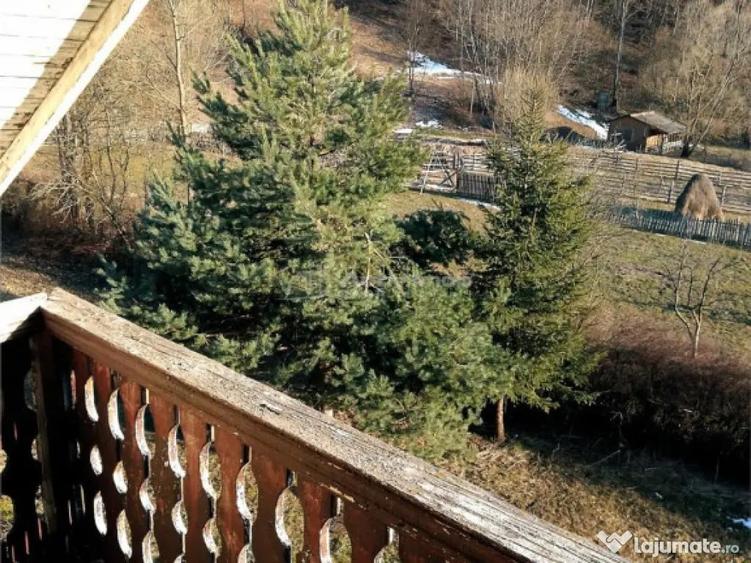 Vila 14 camere- Valea Doftanei - 1