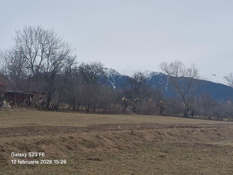 Teren de vanzare - 6