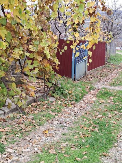 Vand casa su gradina , Baiceni , Judetul Iasi - 4