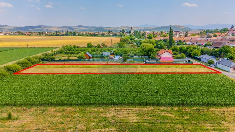 COMISION 0% | Teren intravilan | Bod, strada Avram Iancu - 3