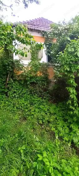 Vand proprietate in Vadu Cri?ului, jud. Bihor - 7