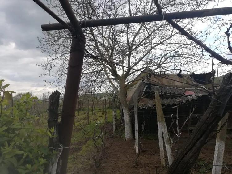 Casa de vanzare balabancea,tulcea - 13