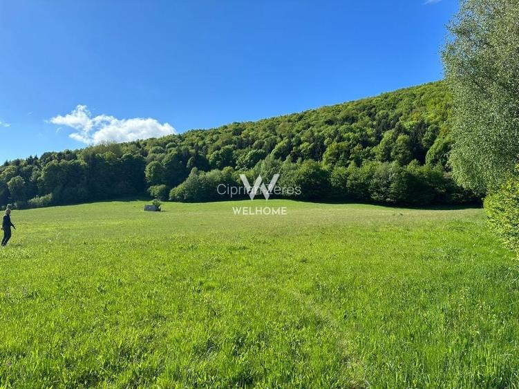 Teren Intravilan in Tocile-priveliste deosebita - Sadu - Sibiu