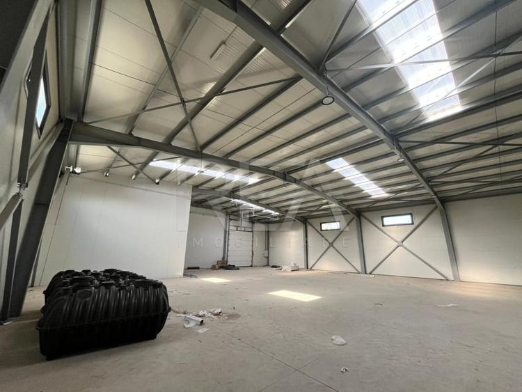 Hale depozitare/productie deschidere la Centura\Chitila - 5