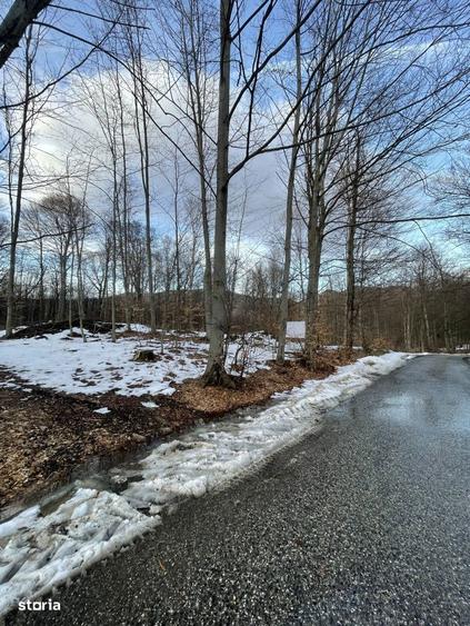 Teren deosebit 30 arii | Zona montana exclusivista | Aproape de centru - 1